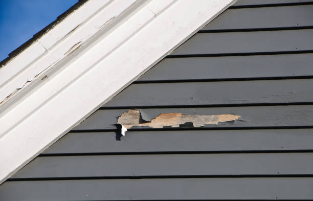 Professional Siding Installation in Fowlkes, TN