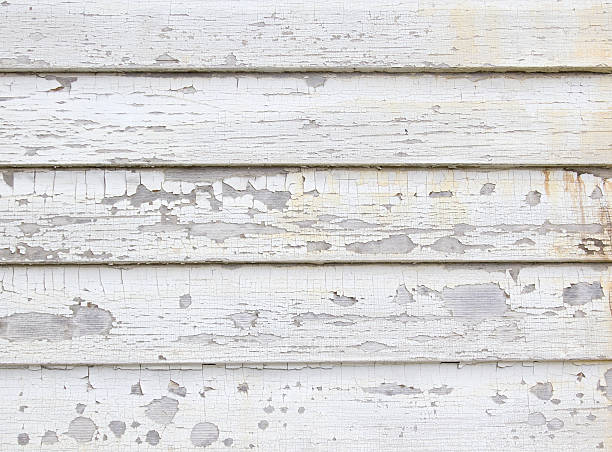 Affordable Siding Repair and Maintenance Services in Fowlkes, TN